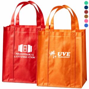 Non-Woven Insulated Bag