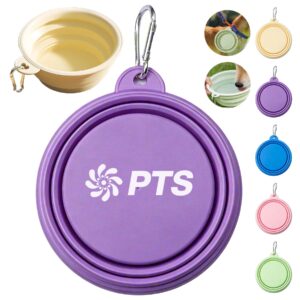 Foldable Pet Feeding Bowl