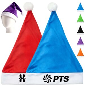Adult Christmas Santa Hat