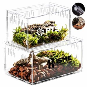 Transparent Acrylic Reptile Feeding Box