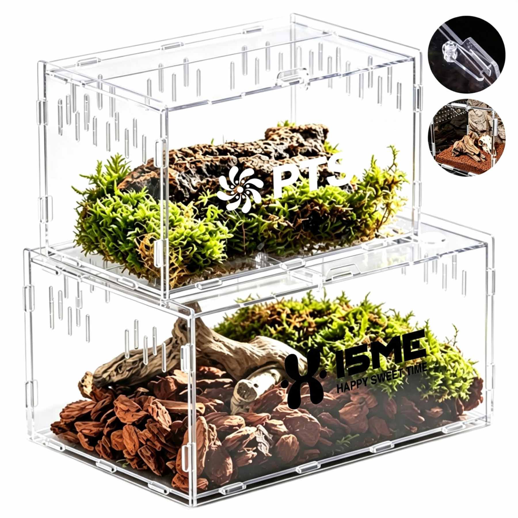 Transparent Acrylic Reptile Feeding Box